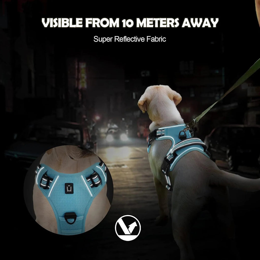 Dog harness