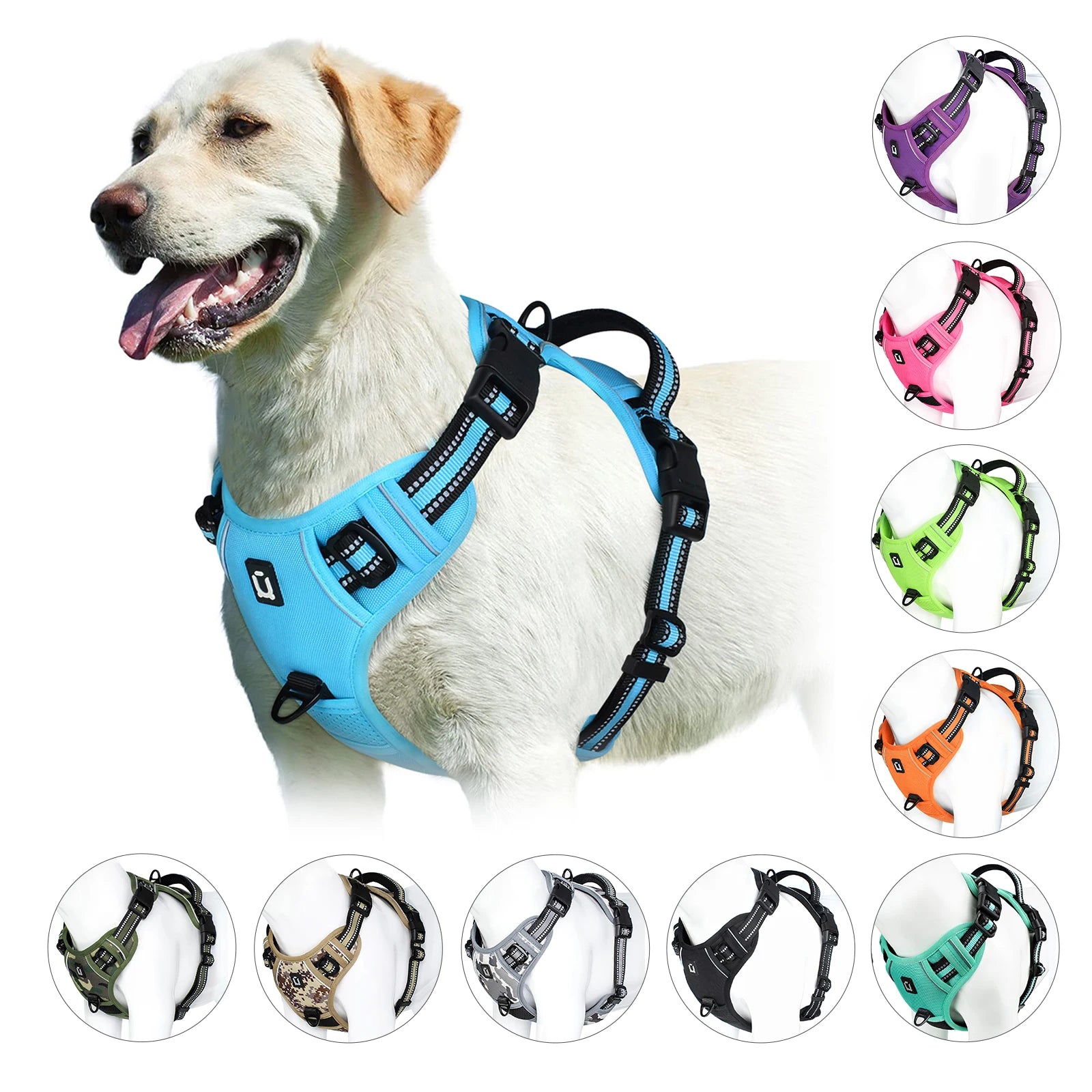 Arnês para cães