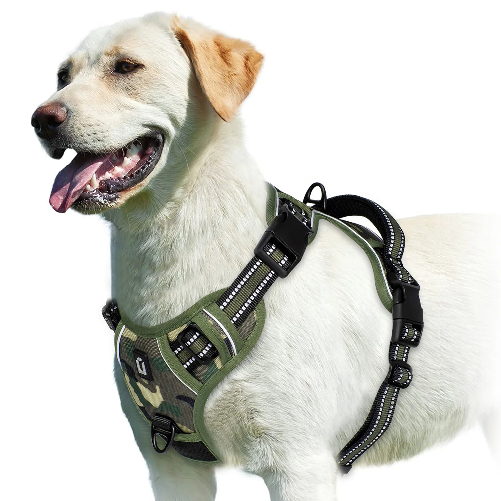 Arnês para cães