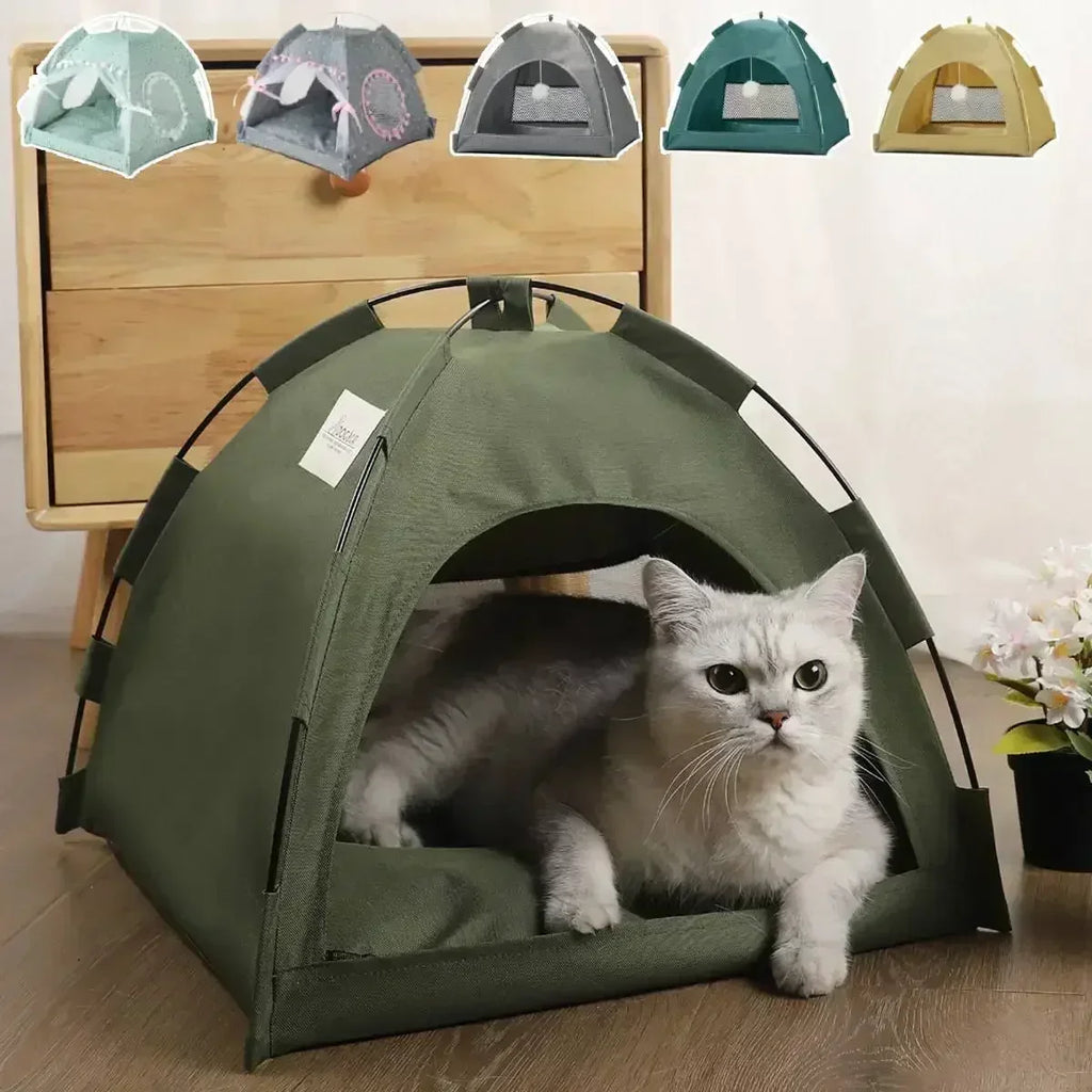 Pet tent bed