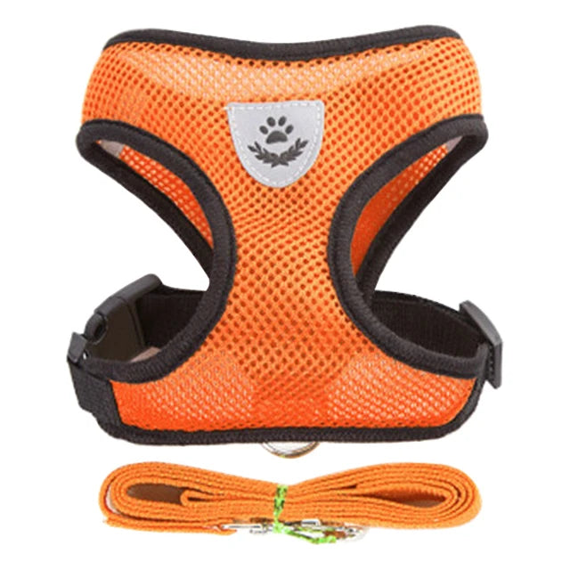 Arnês para cachorros, coleira para cães e gatos