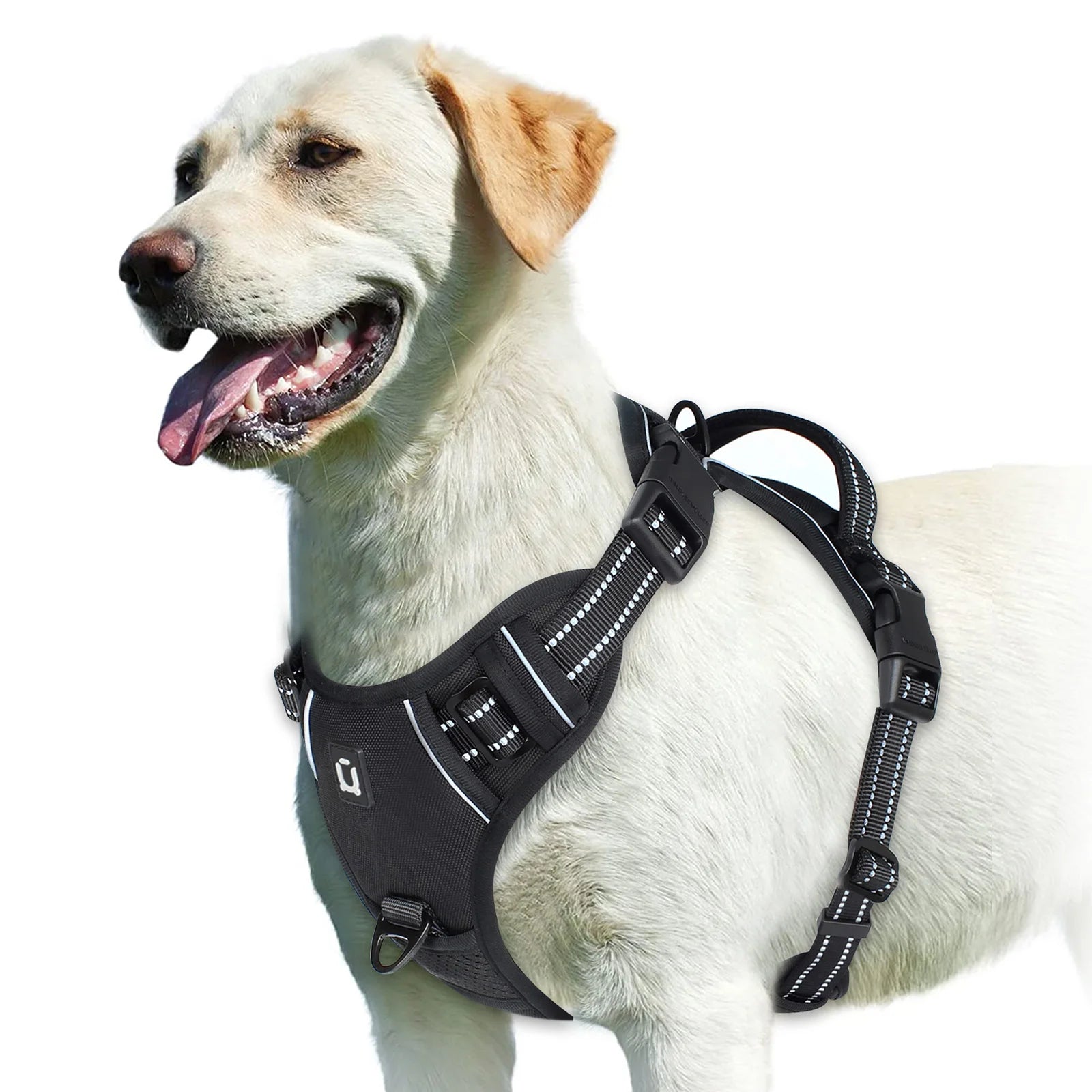 Arnês para cães
