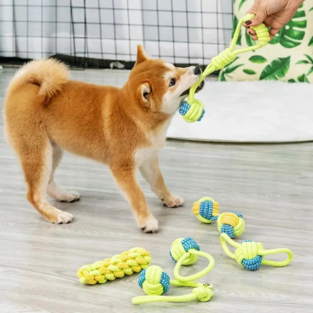 Dog toys