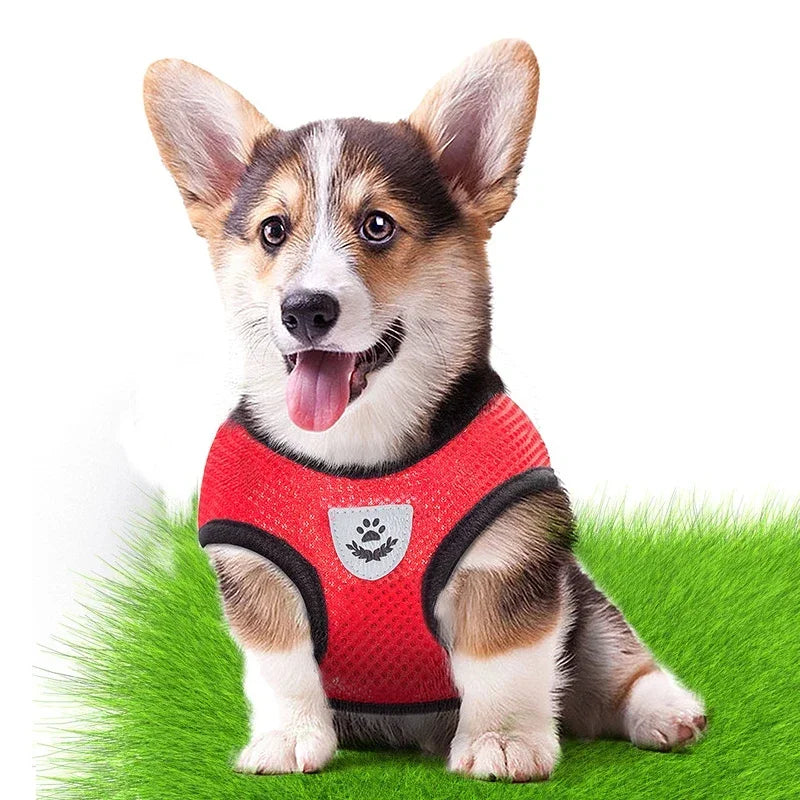 Arnês para cachorros, coleira para cães e gatos