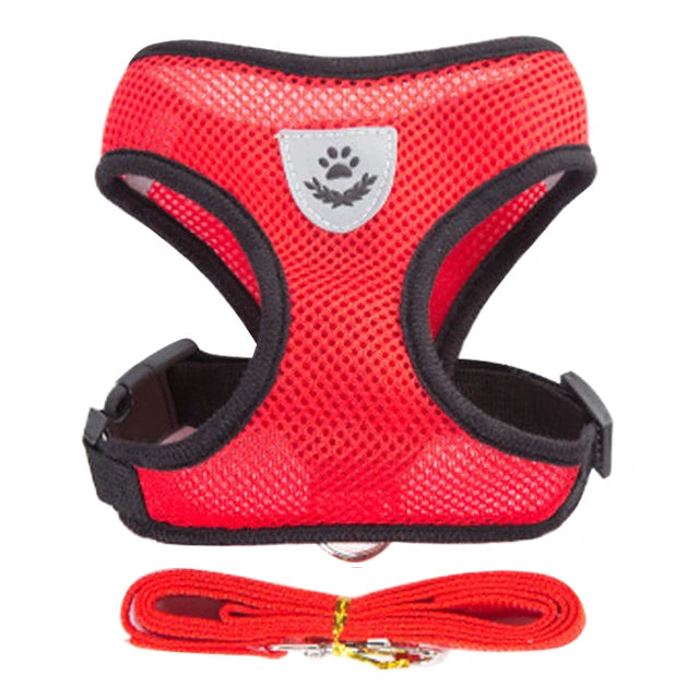 Arnês para cachorros, coleira para cães e gatos
