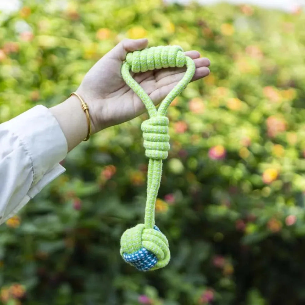 Brinquedos para cães