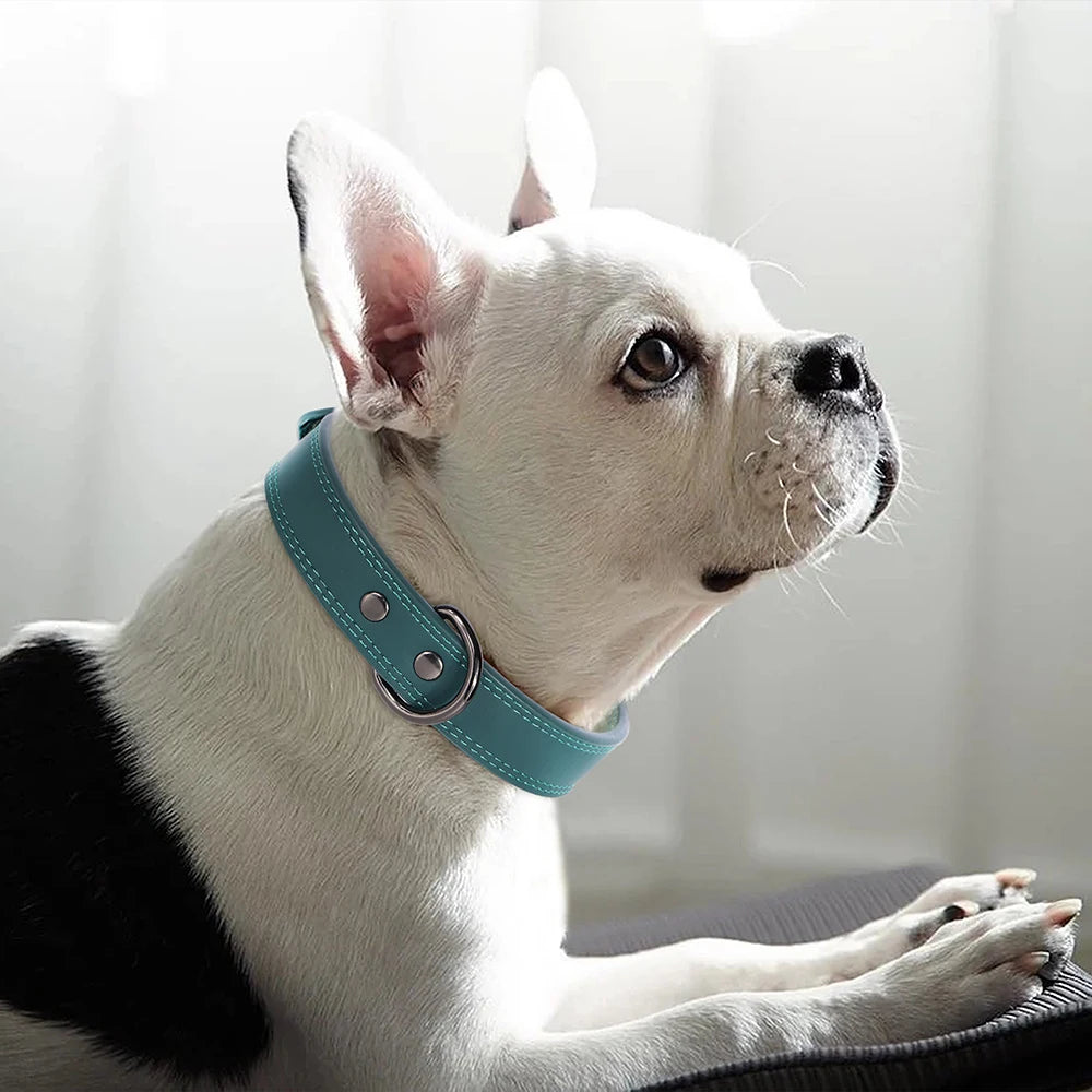 Coleira em couro para cães