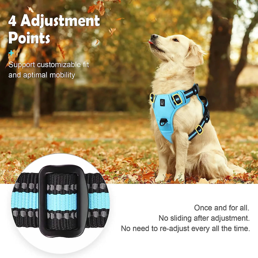 Dog harness