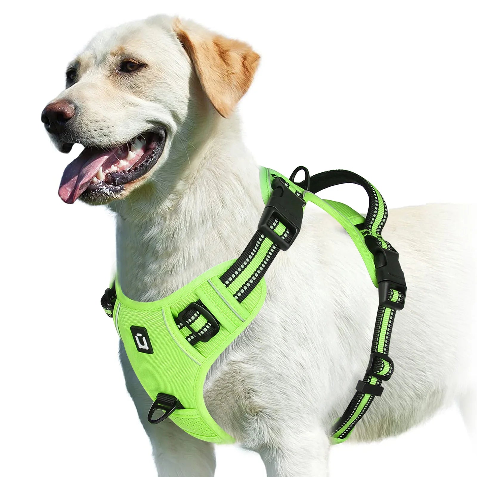 Arnês para cães