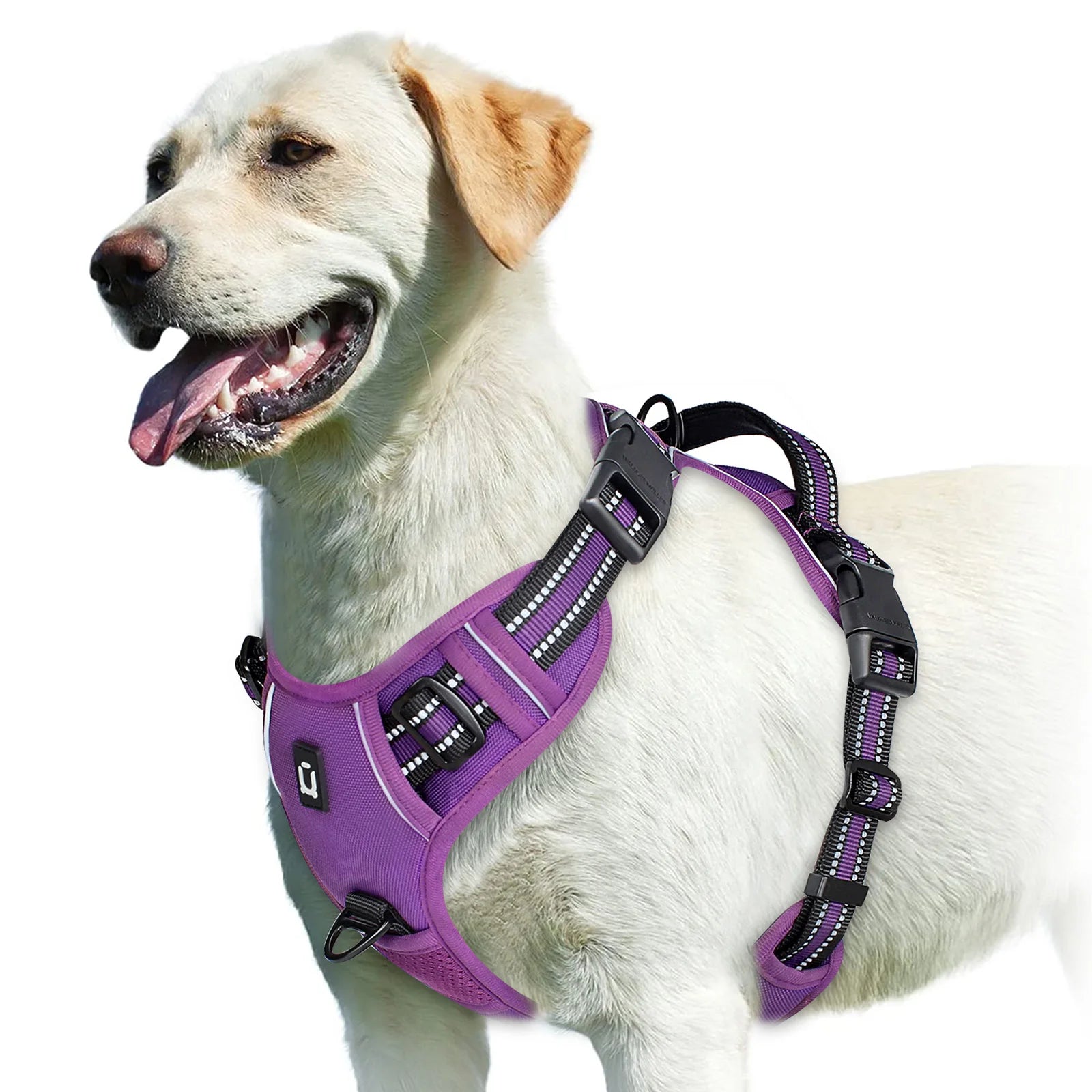 Arnês para cães