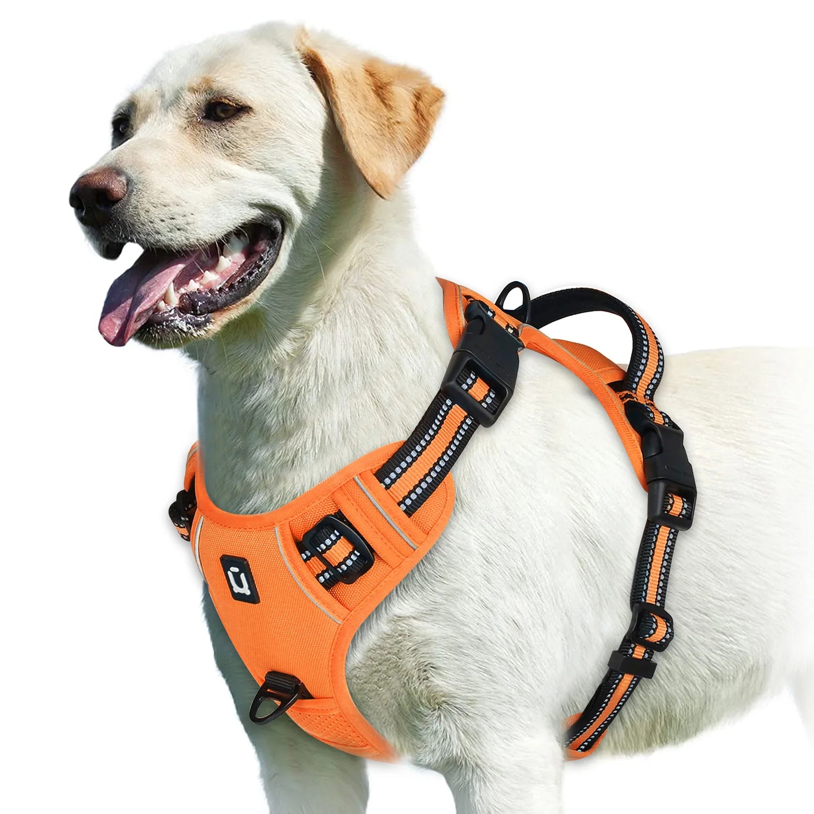 Arnês para cães