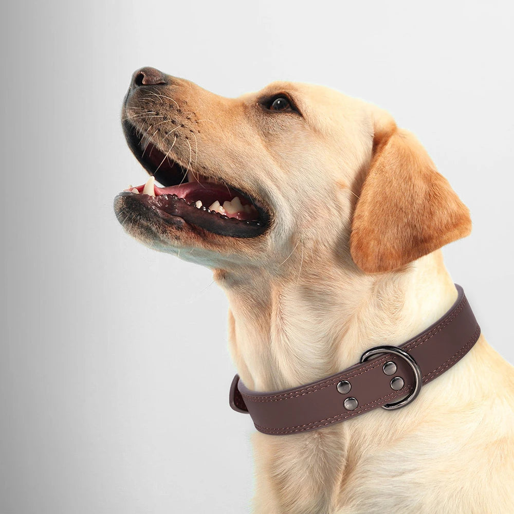 Coleira em couro para cães