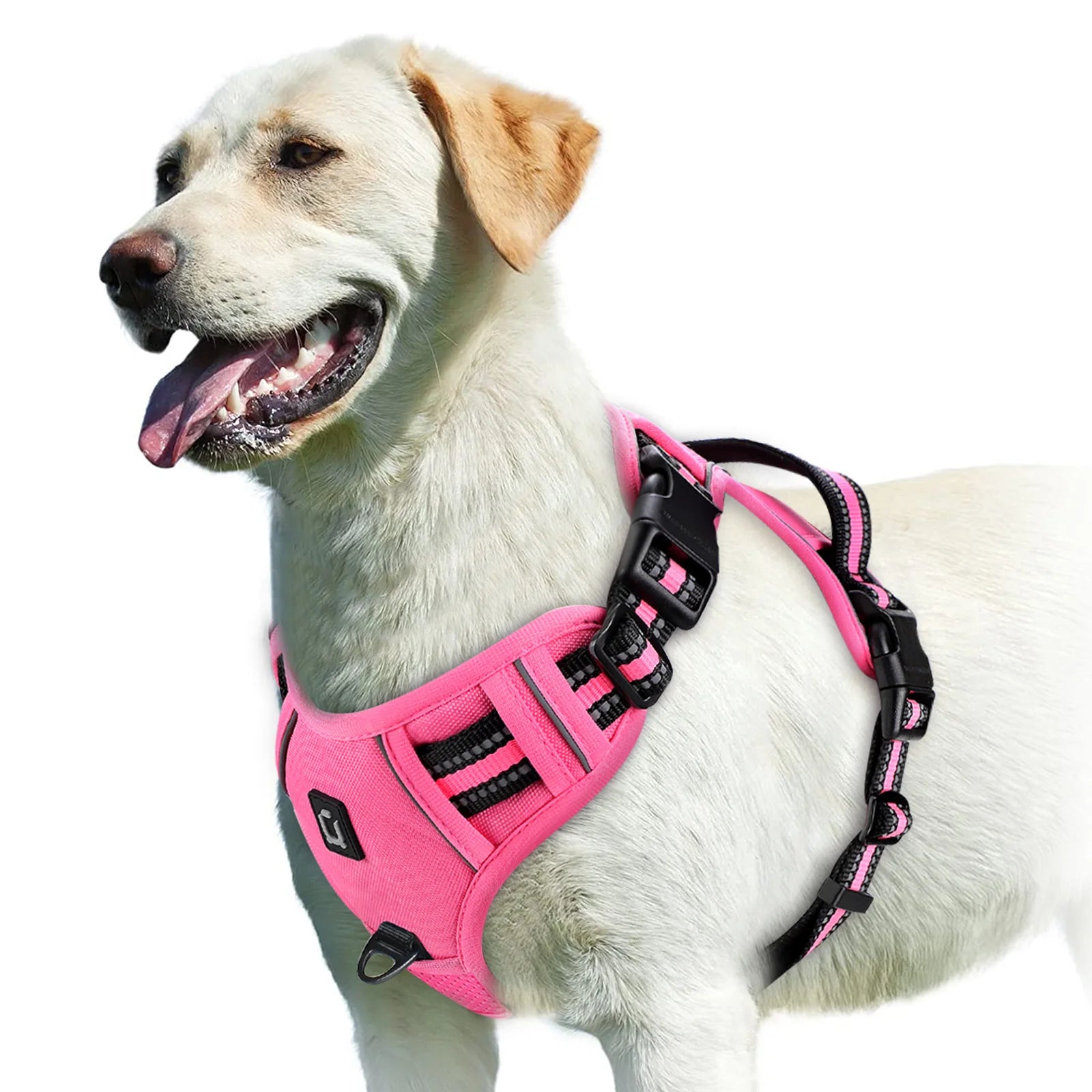 Arnês para cães