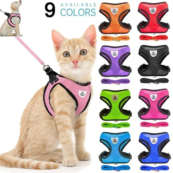 Arnês para cachorros, coleira para cães e gatos