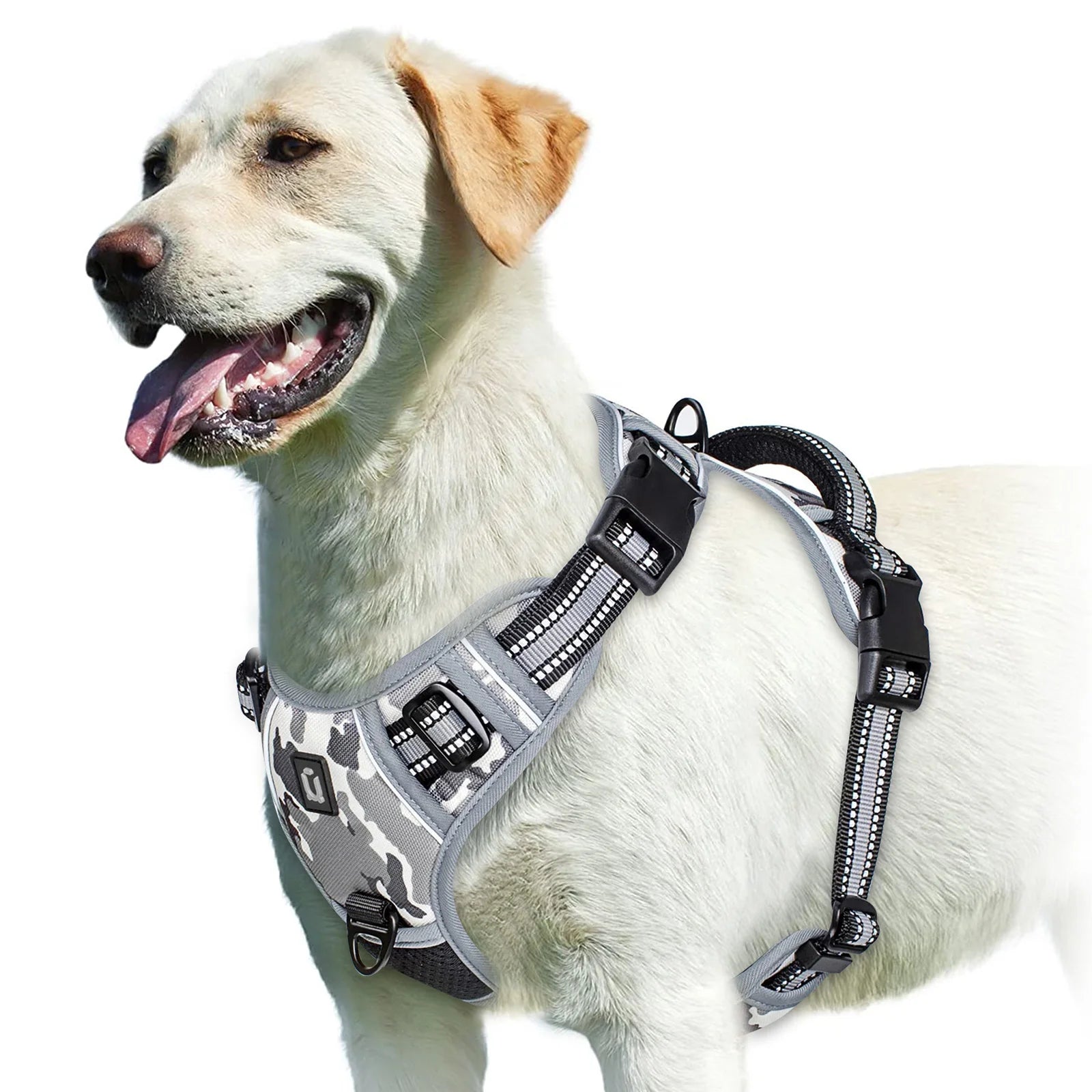 Arnês para cães