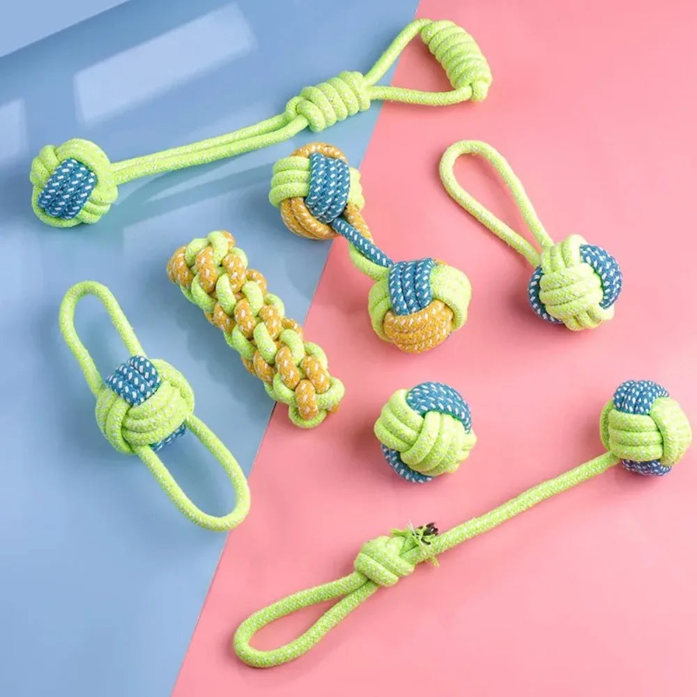 Brinquedos para cães