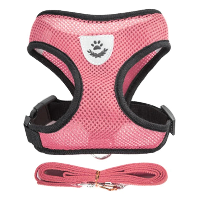 Arnês para cachorros, coleira para cães e gatos