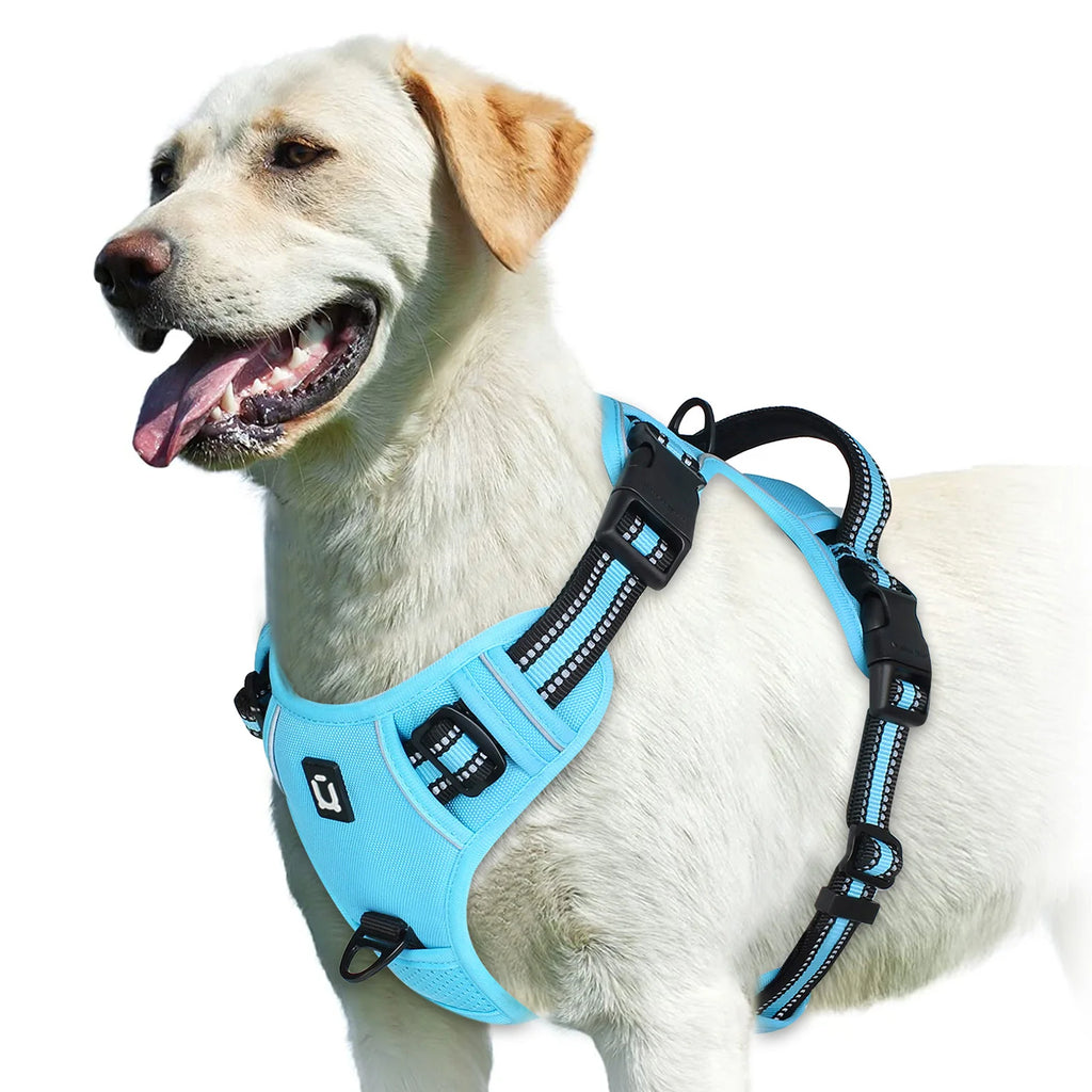Dog harness