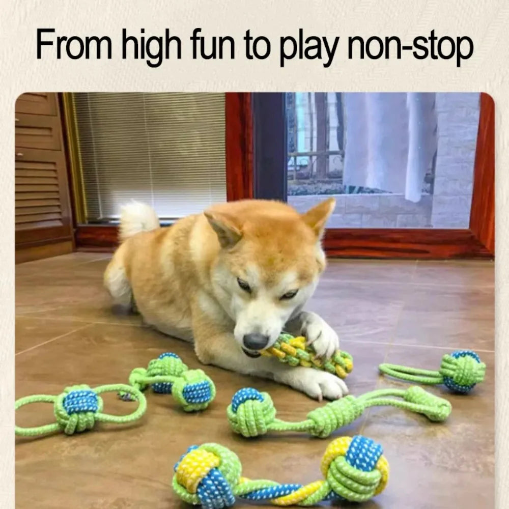 Dog toys