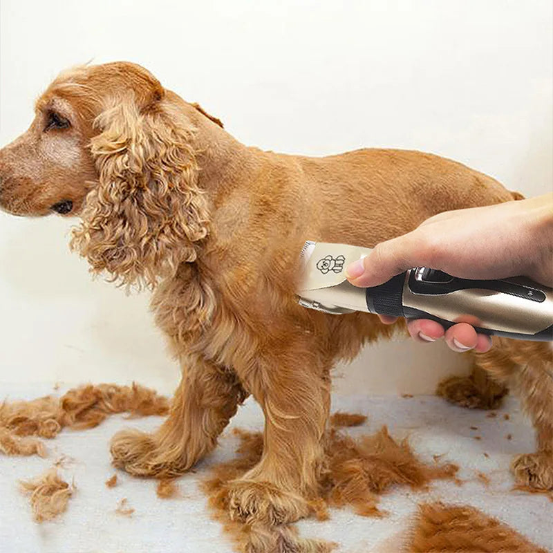 Pet grooming clipper