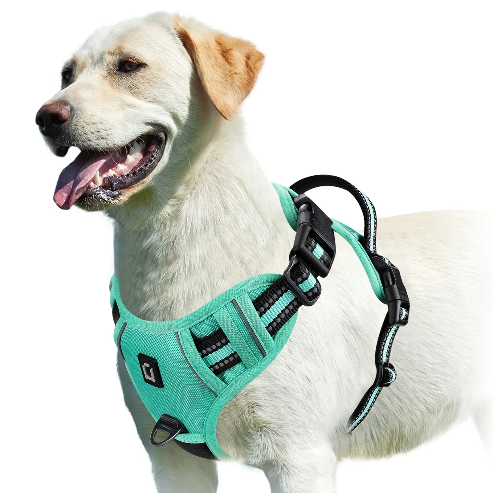 Arnês para cães